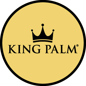 King Palm